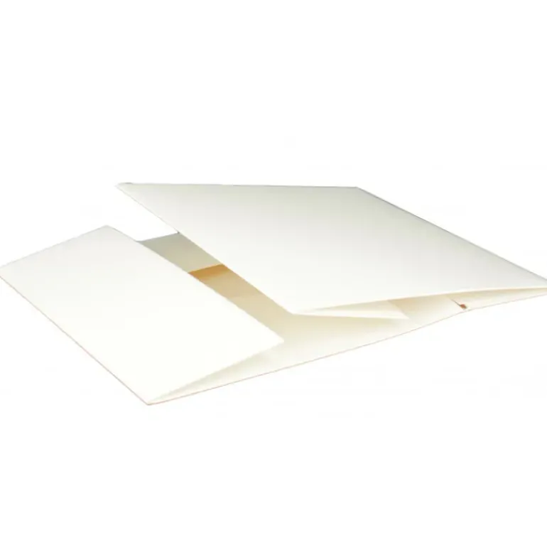 Boîte pâtissière blanche - 29 x H 5 cm - (x50)
