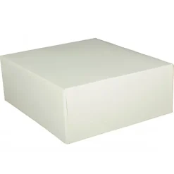 Boîte pâtissière blanche - 20 x H 8 cm - (x50)