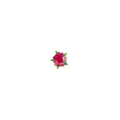 Boîte Rose Azyme 40 mm x72 Florensuc