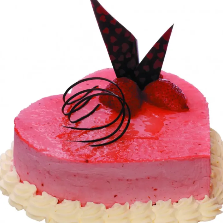 Cercle à Mousse Coeur 22 cm x H 4,5 cm Mallard Ferrière