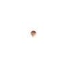 Champignon en Sucre Beige 20 x 15 mm (x96) Florensuc