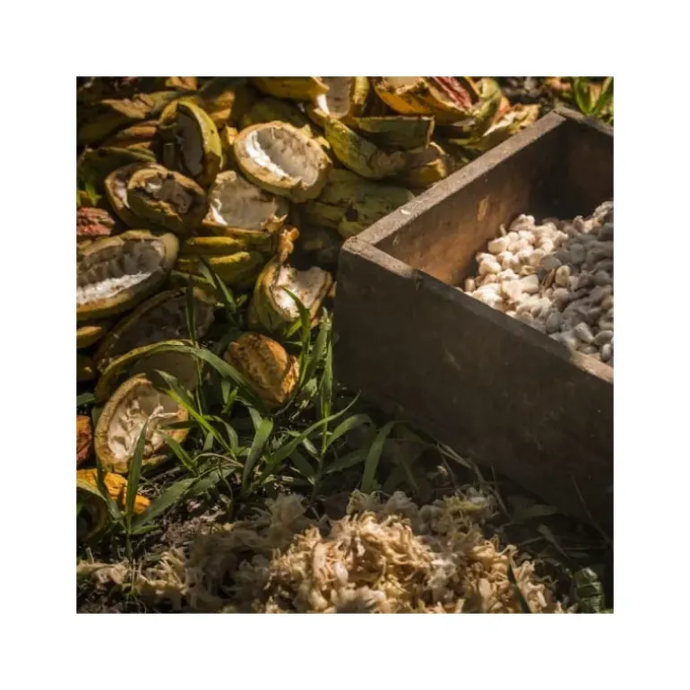 Chocolat de Couverture Noir Manjari 64% 250g Valrhona