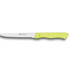 Couteau de Table Cranté 10,5 cm Sabatier Anis