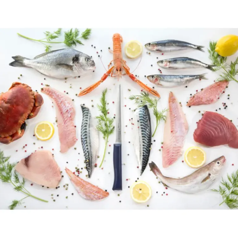 Couteau Effilé N°221 Intempora Opinel