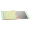 Feuilles d'Argent Carnet x25
