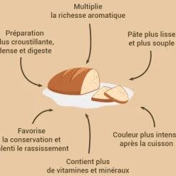 Levain de seigle et levure 150 g Patisdécor