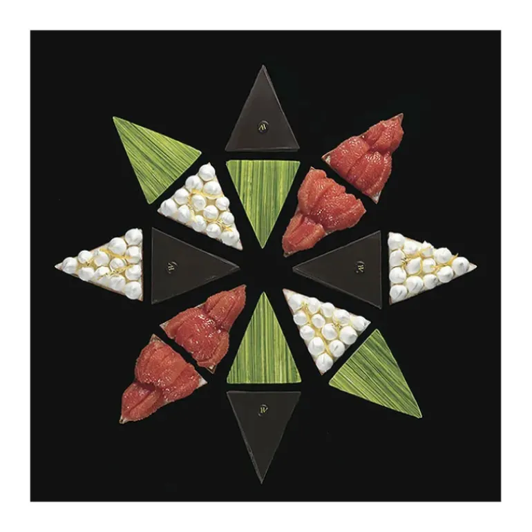 Lot de 8 Triangles à Part de Tarte individuelle