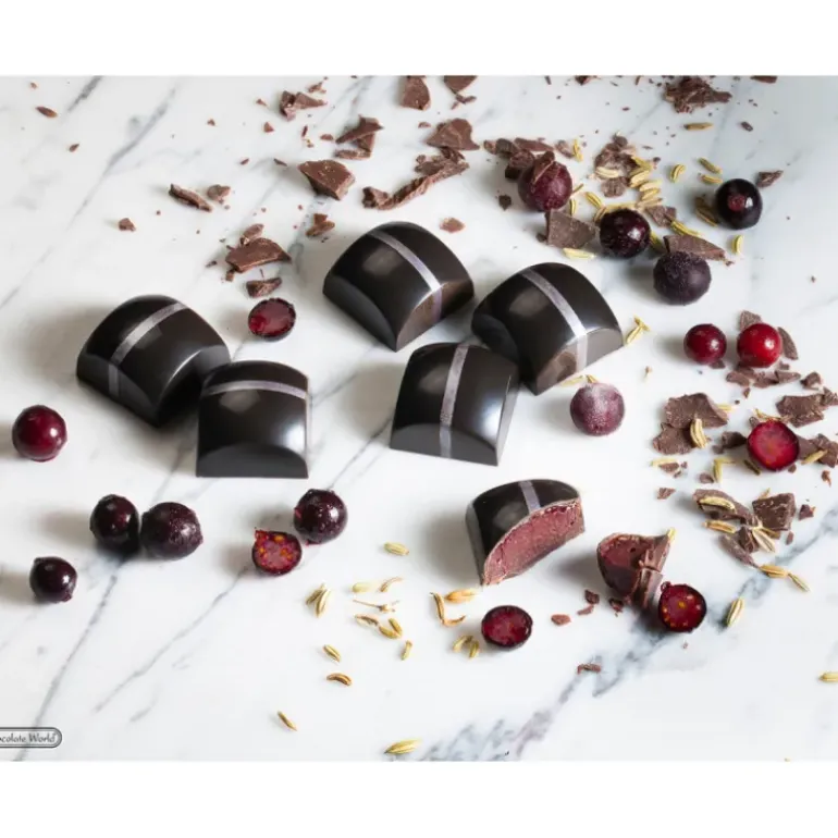 Moule Chocolat Carré Bombé 25,5 mm (x24) Chocolate World