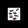 Moule Chocolat Friture de Pâques (x35) Barry