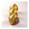 Moule Silicone 8 Noisettes 82 ml Cédric Grolet Pavoni