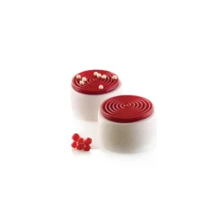 Moule Silicone 6 Tourbillons 28ml Moyen Modèle Silikomart Professional