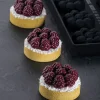 Moule Silicone Décor Mini Mûres Ø 6 cm x H 2,3 cm (x8) Pavoni
