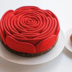 Moule Silicone La Vie en Rose Ø 18 x H 4,5 cm Cédric Grolet Pavoflex