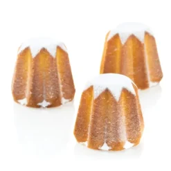 Moule Silicone Mini Pandoro Silikomart Professional