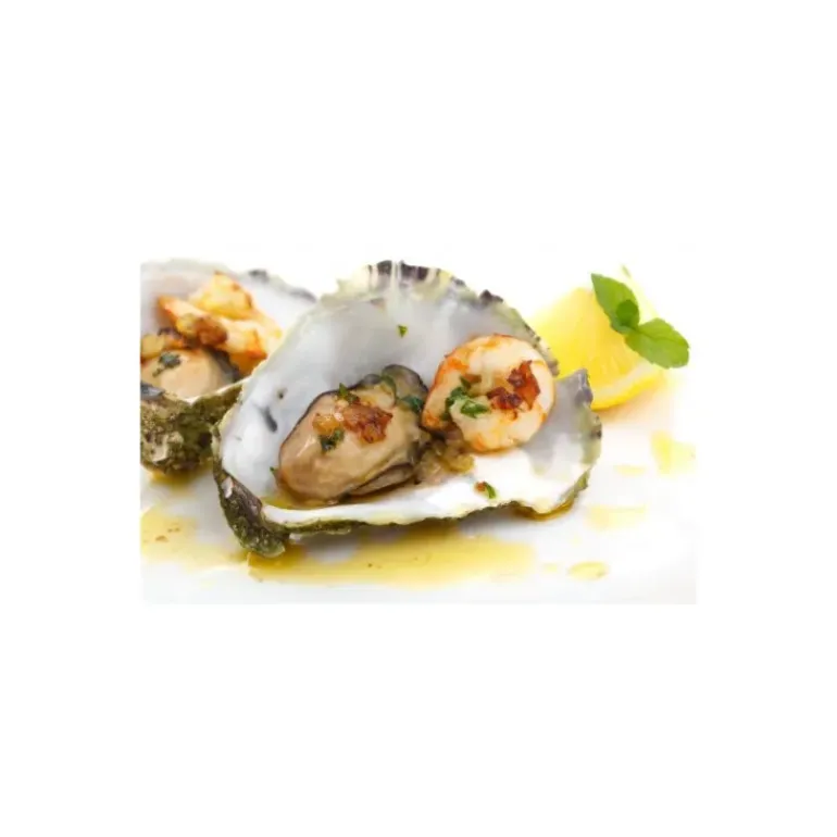 Ouvre Huitres Clé de Neptune Gris Eken