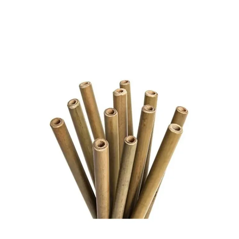 Paille en Bambou 20cm x12 Lebrun