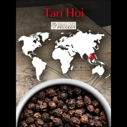 Poivre Noir du Vietnam Tan Hoi Sachet 20 g (x7) Peugeot
