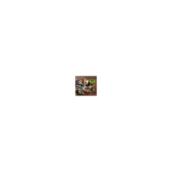 Poêle Ø 26 cm Strate Amovible Inox Cristel