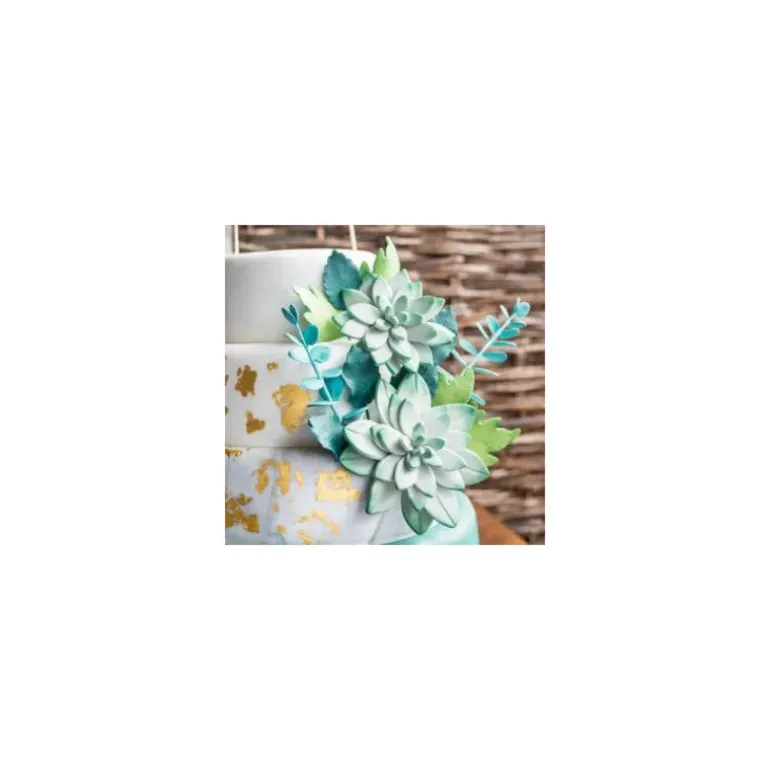 Poudre comestible Vert houx 1,2 g FunCakes