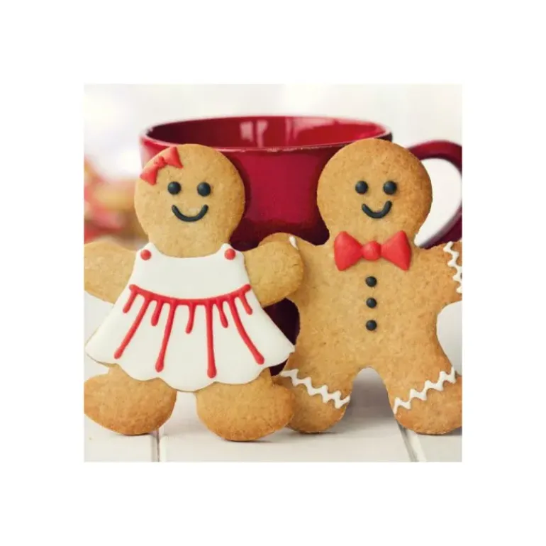 Préparation pour Biscuit Pain d'Épices 500 g Funcakes