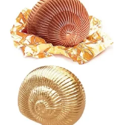 Sachet Escargot Chocolat au Lait Praliné 1 Kg Lanvin