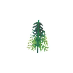Sapin Vert Volume x100