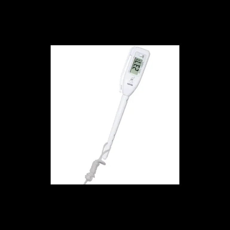 Thermomètre Digital Cuisson Stylo de Poche Alla France