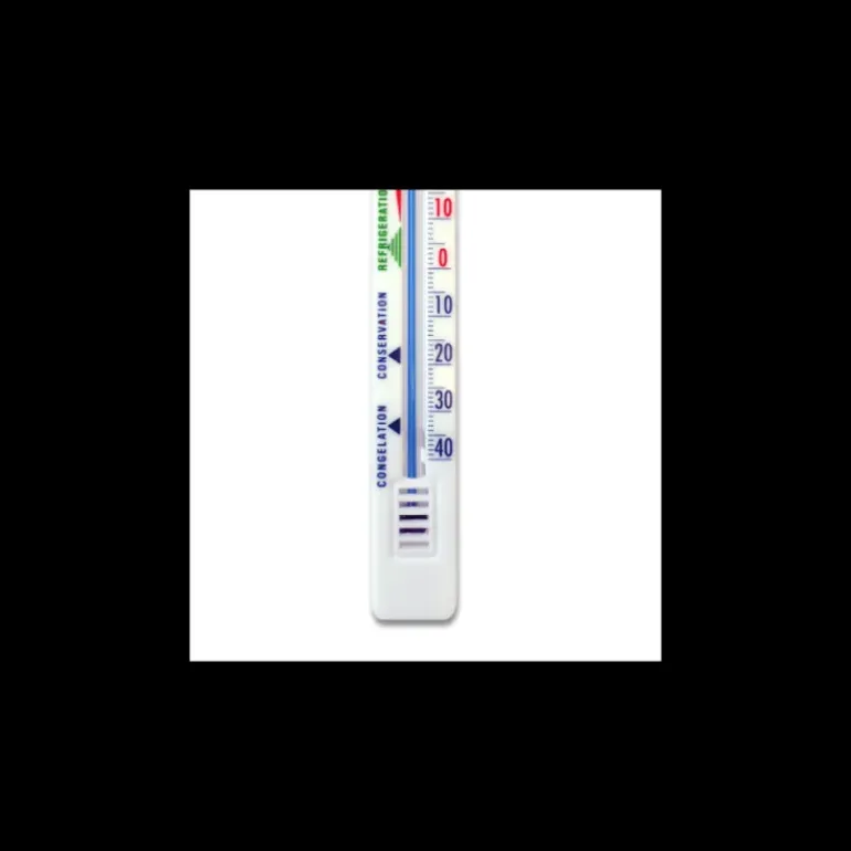 Thermomètre Plat Vertical –40 à +40°C Alla France
