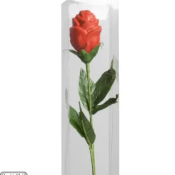 Tiges pour Rose en Chocolat x200 Chocolate World